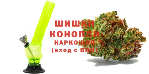 трава Белокуриха