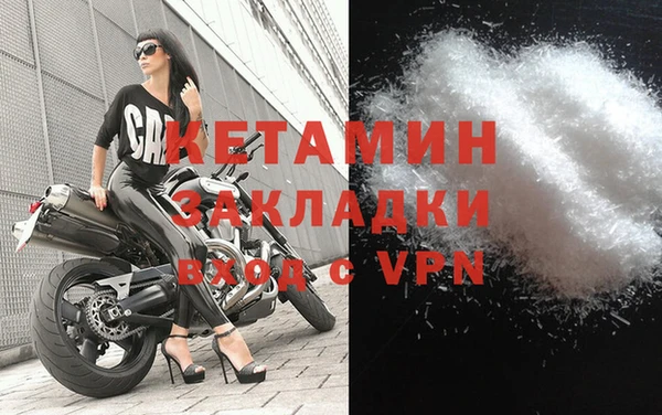 трава Белокуриха